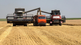 27 октября в госфонд закуплено 35,91 тысячи тонн зерна